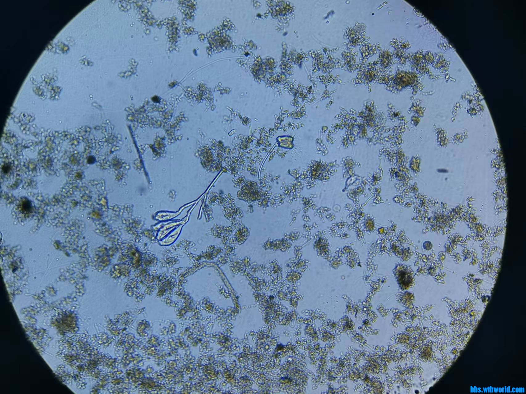 wechat_upload165707627162c4fa2fe4fcc