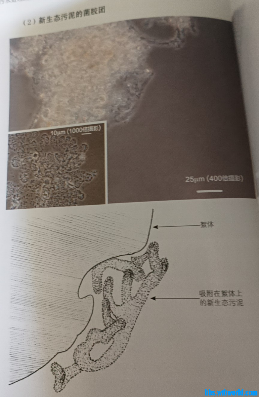 wechat_upload165726428462c7d89ced360