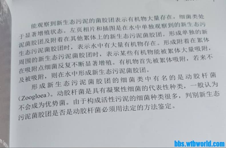 wechat_upload165726430662c7d8b2a8694