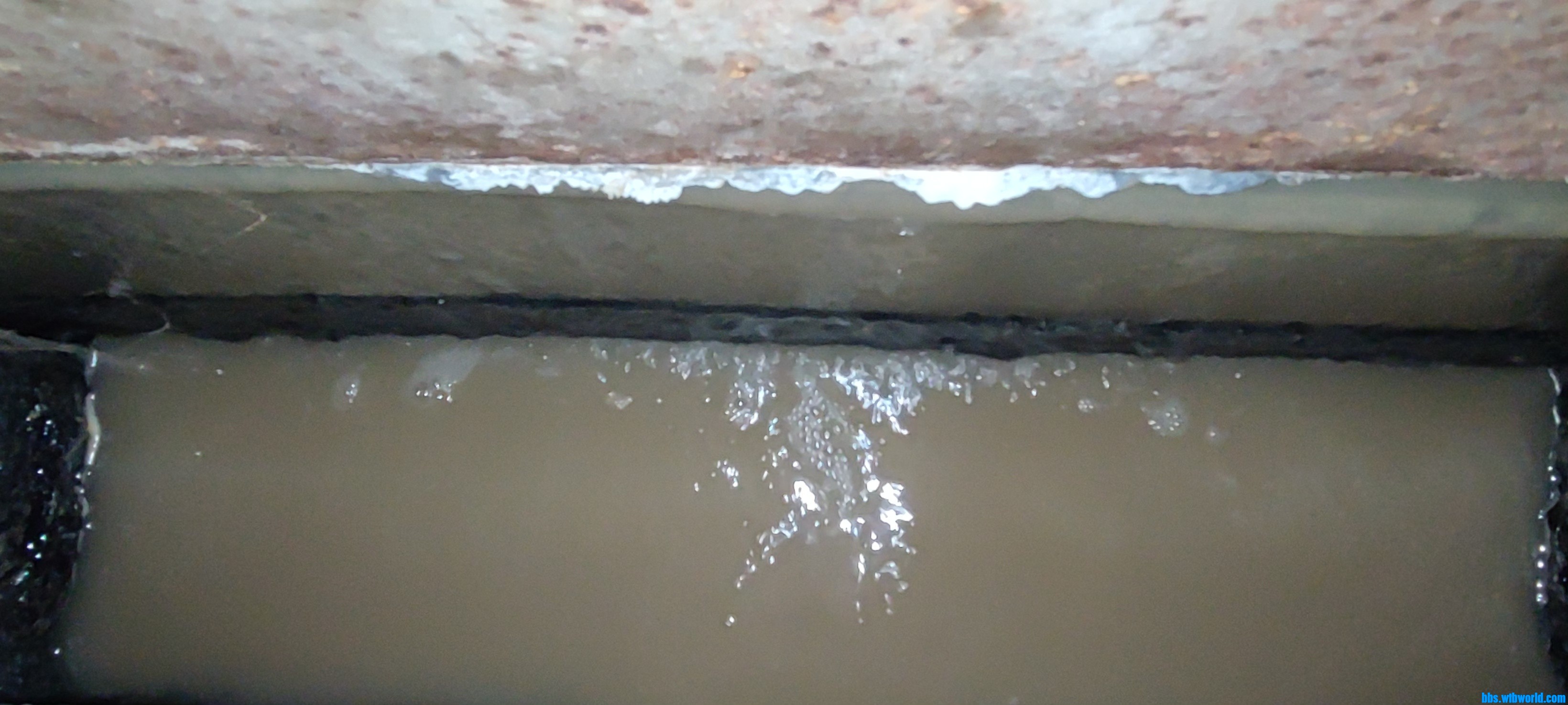 wechat_upload165728081962c819330235e