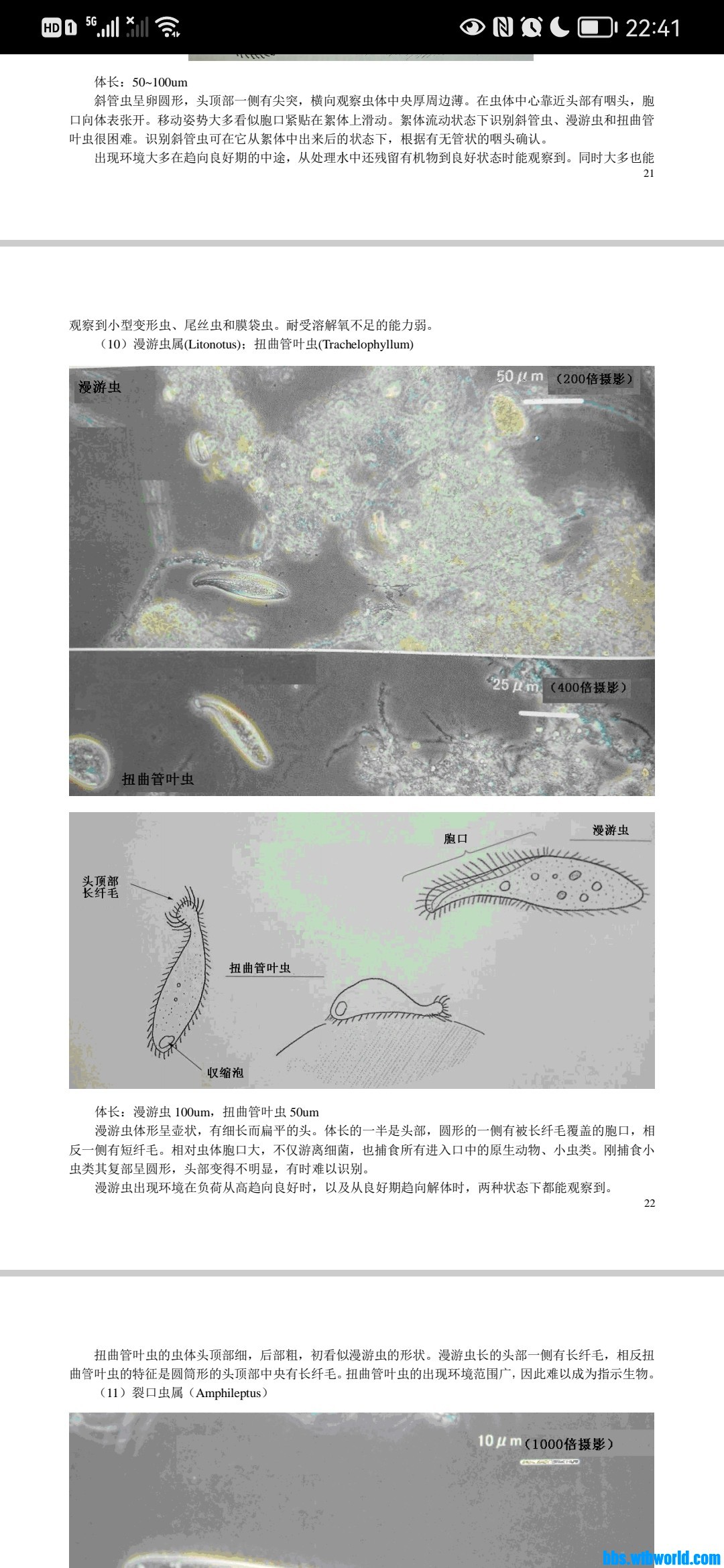 wechat_upload165729135062c8425651a60