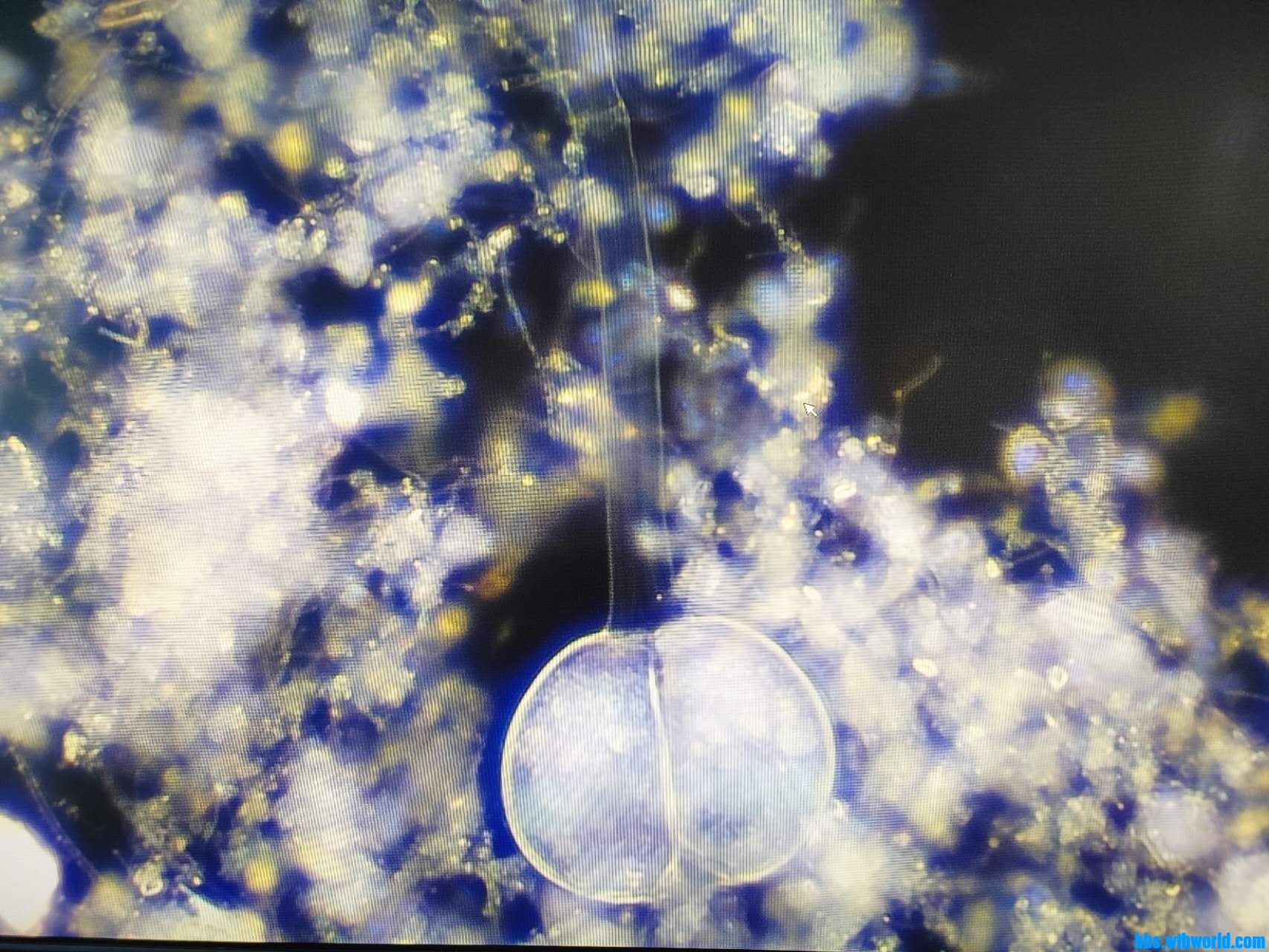 wechat_upload165762095562cd49db5e40d