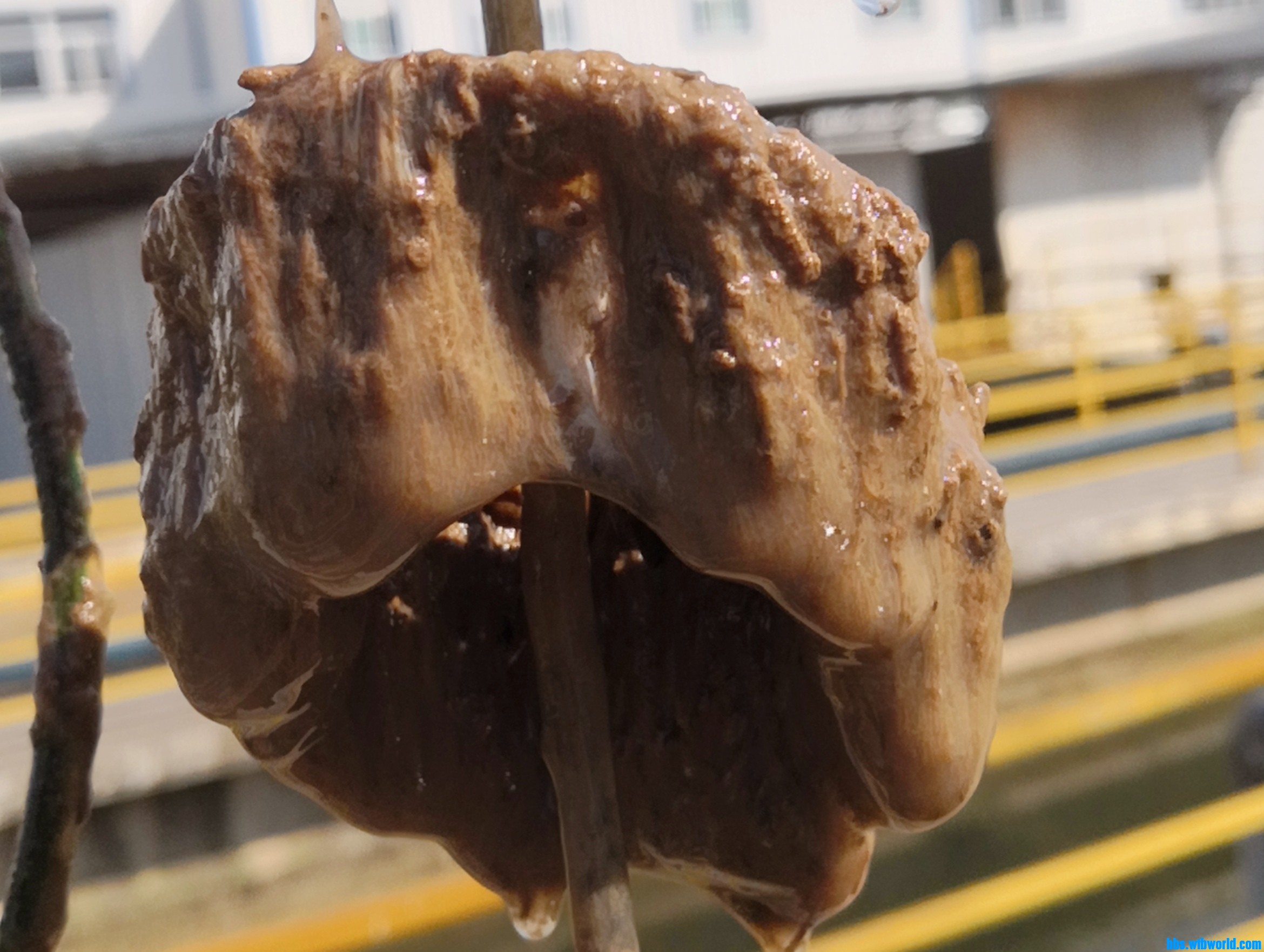 wechat_upload165768251362ce3a51d565c