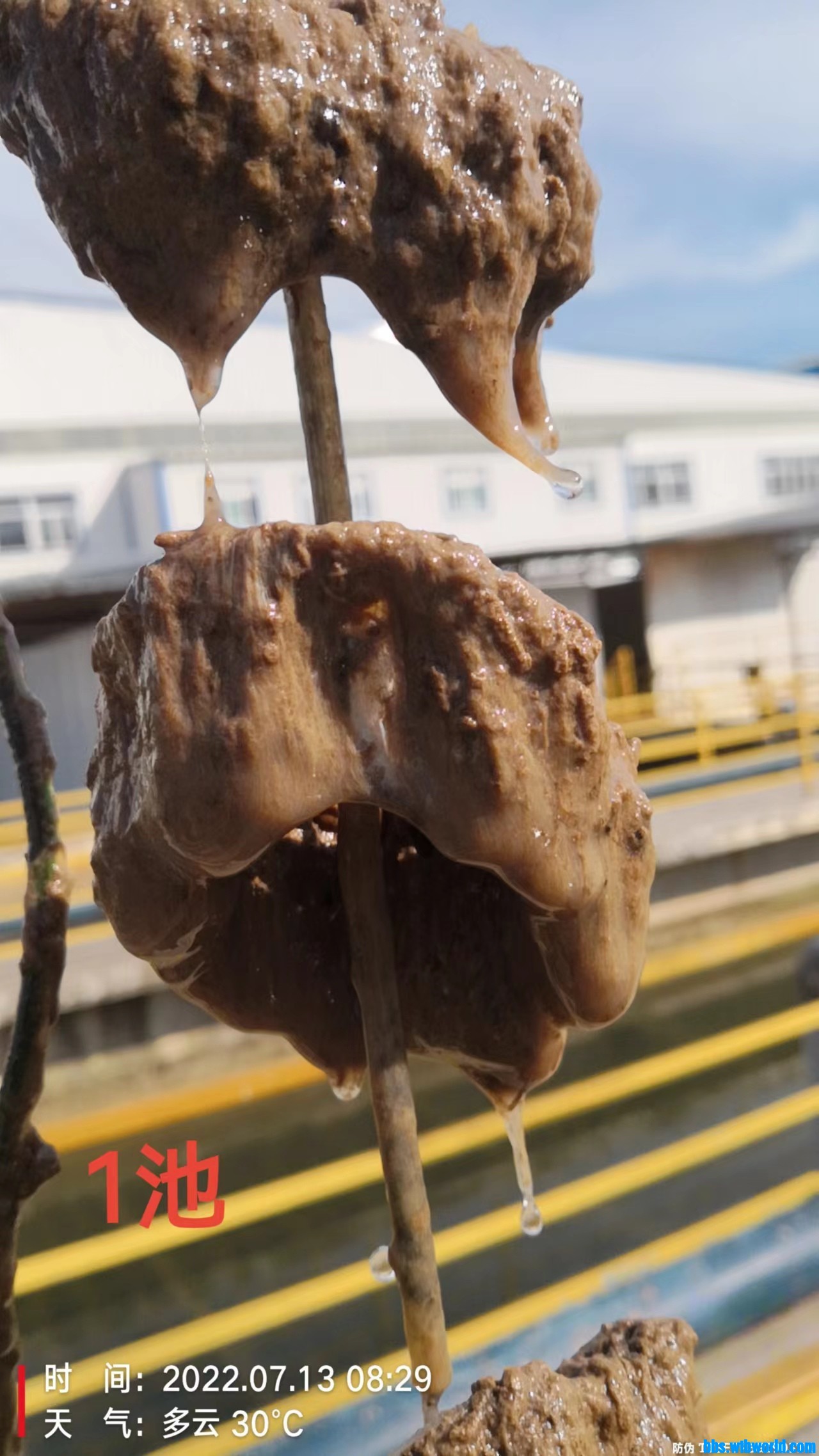 wechat_upload165768251462ce3a526f0b1