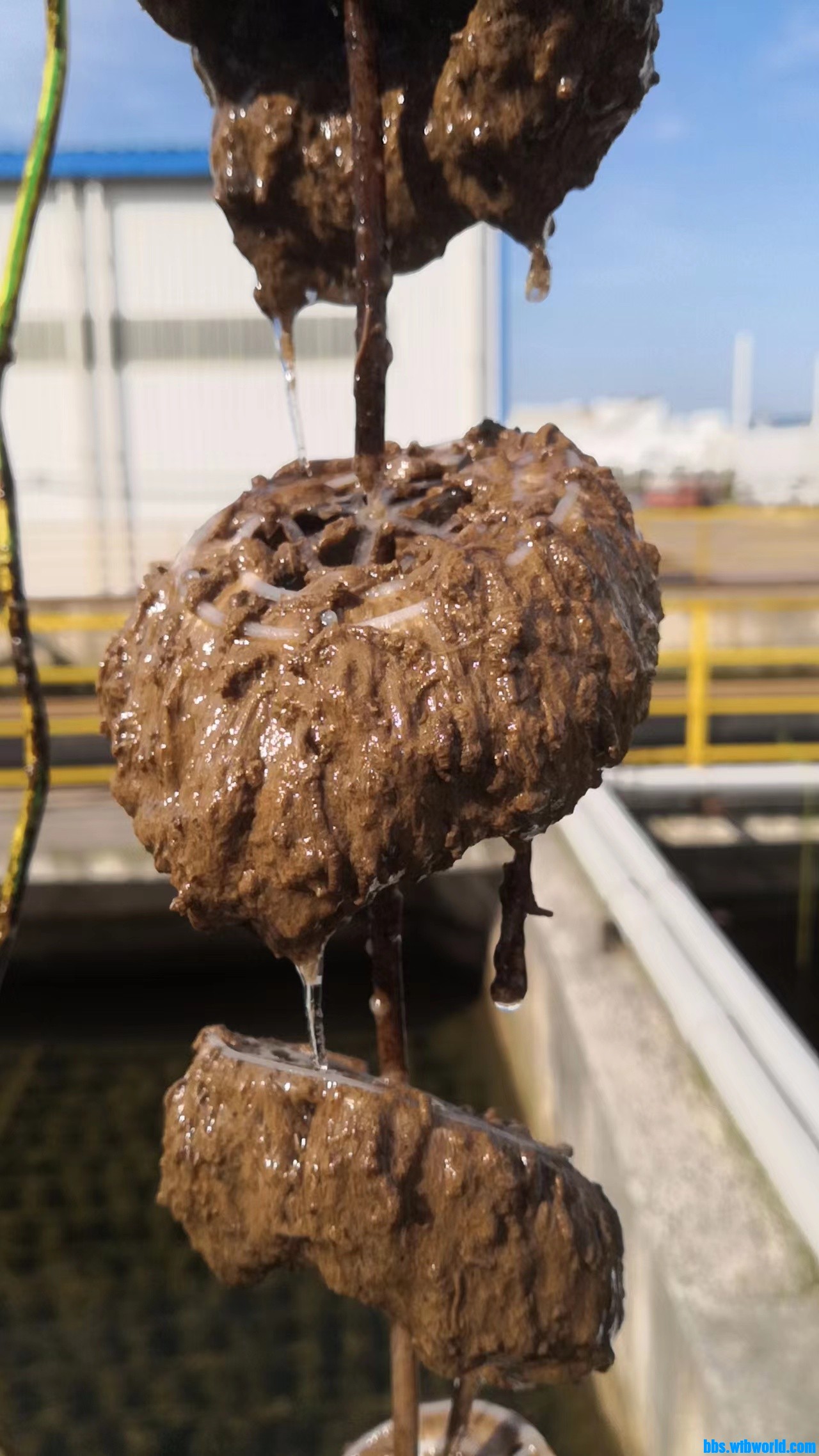 wechat_upload165768283062ce3b8e8e6e7