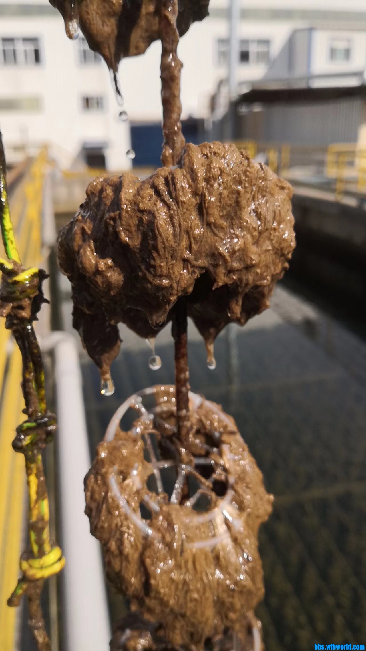 wechat_upload165768283162ce3b8fb27f2