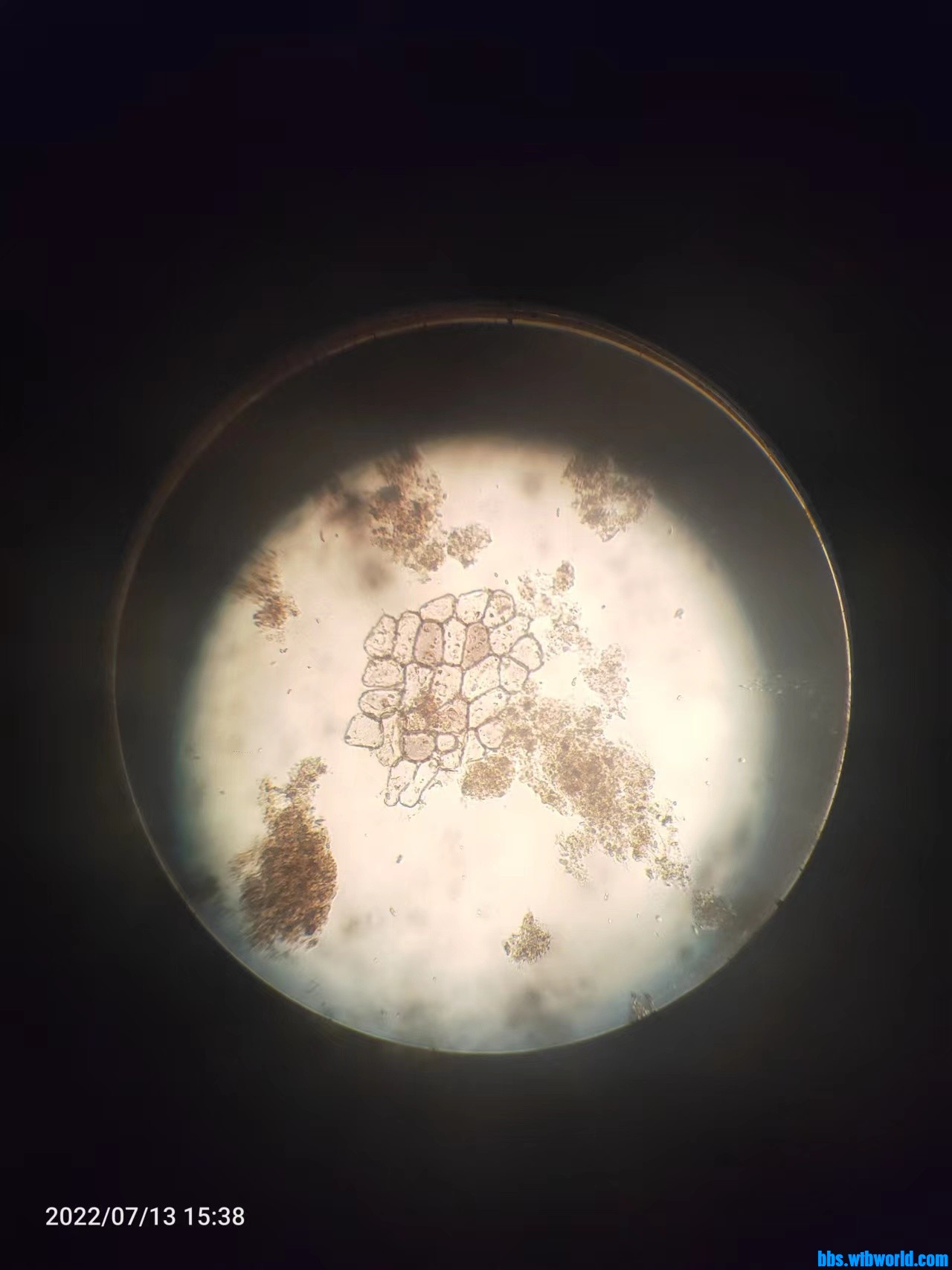 wechat_upload165769836562ce783da6230