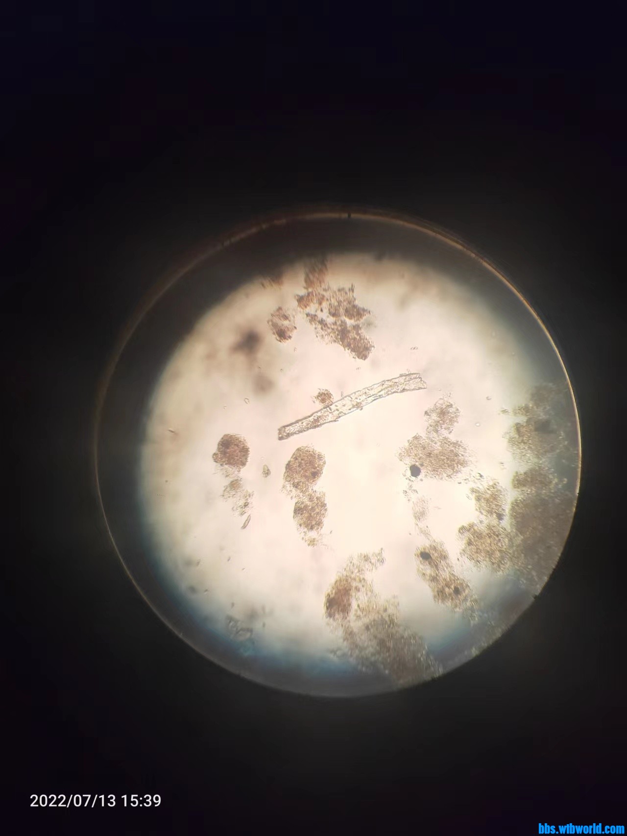 wechat_upload165769836562ce783d368cc