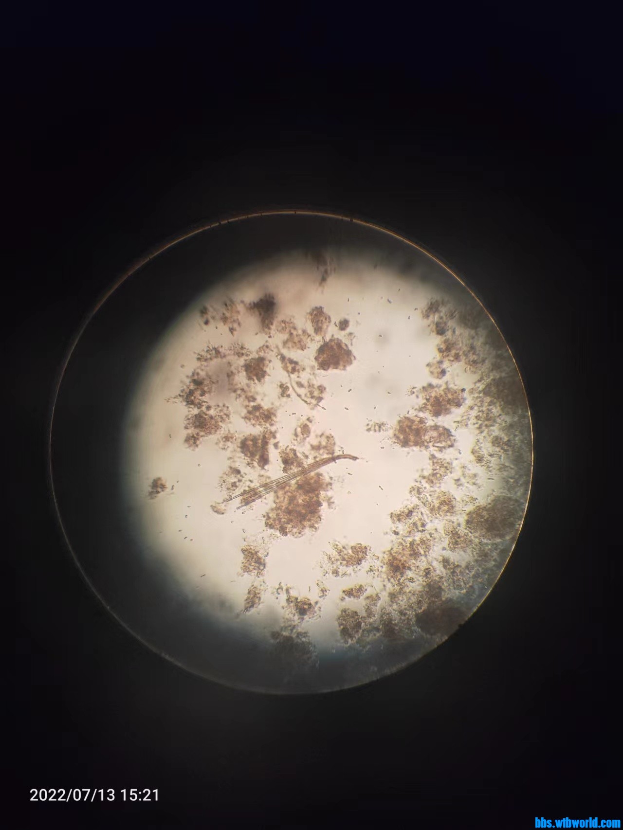 wechat_upload165769836662ce783ebe12f