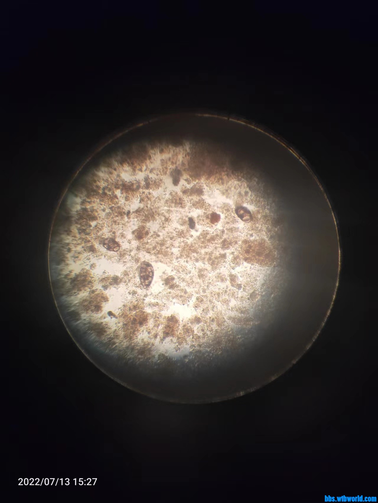 wechat_upload165769836762ce783f267cb