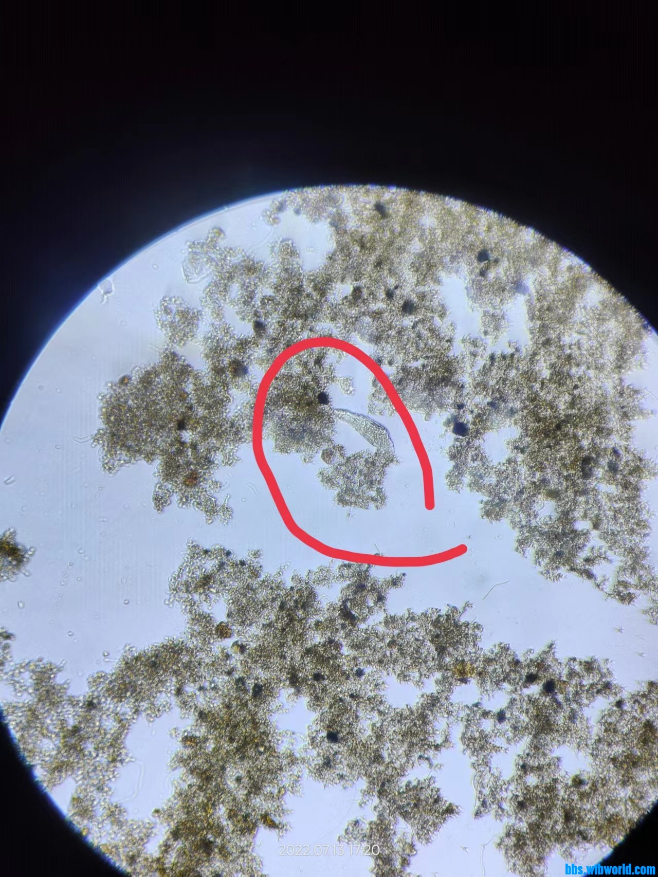 wechat_upload165770418962ce8efd54ebb