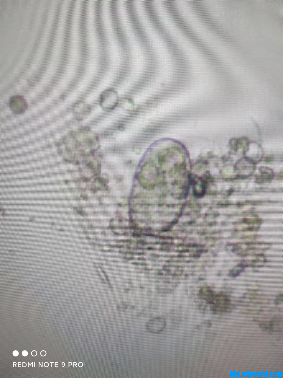 wechat_upload165771382562ceb4a1b99c7