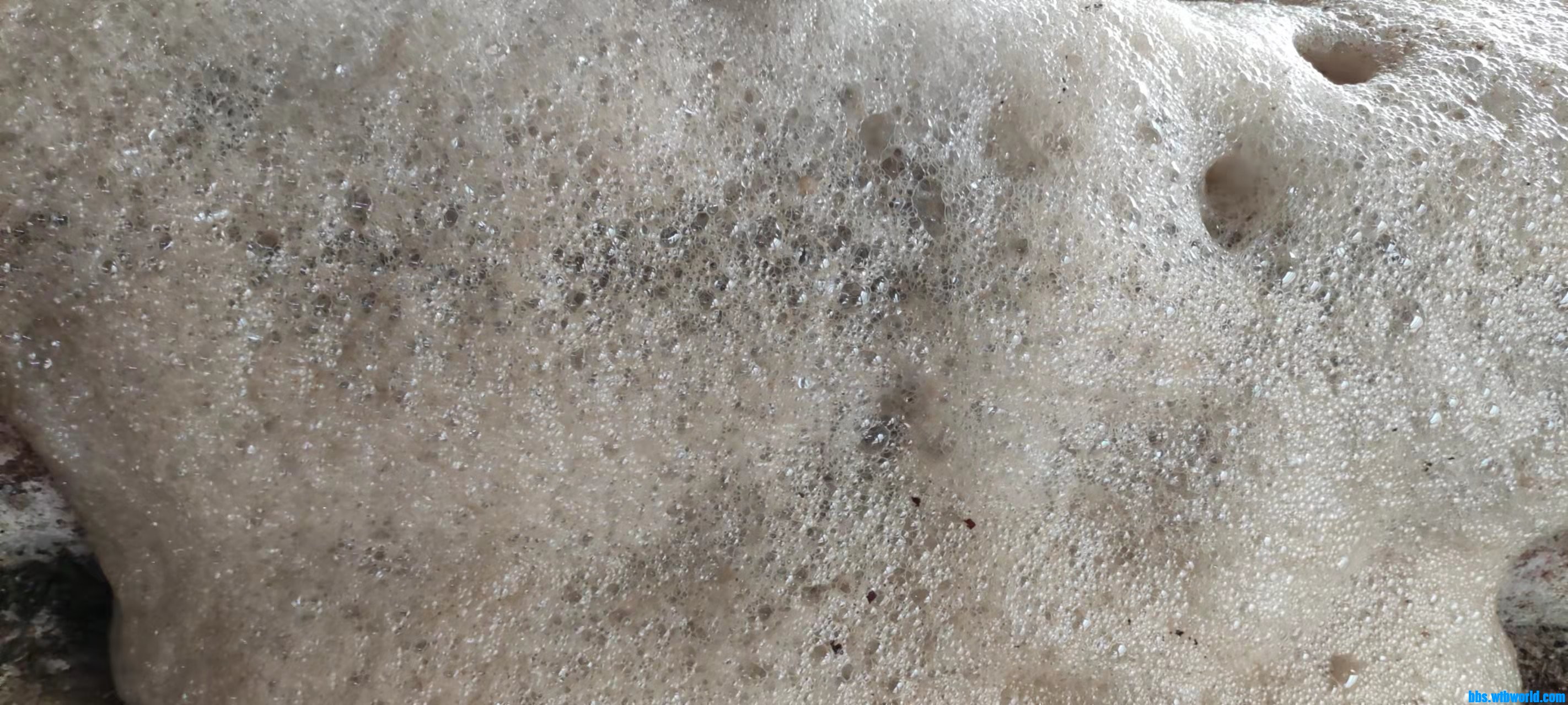 wechat_upload165776526862cf7d941bcb1