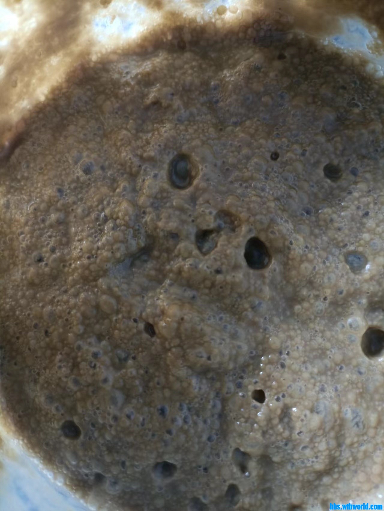 wechat_upload165787619862d12ee6730e9