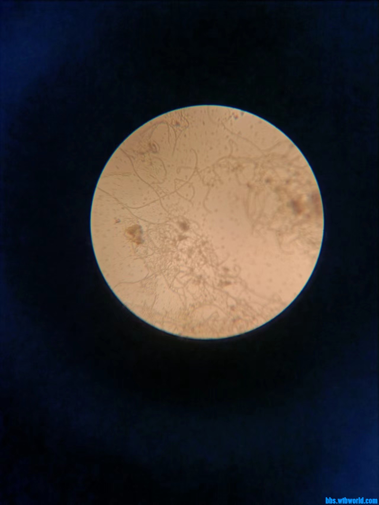 wechat_upload165787619762d12ee5f3fe9