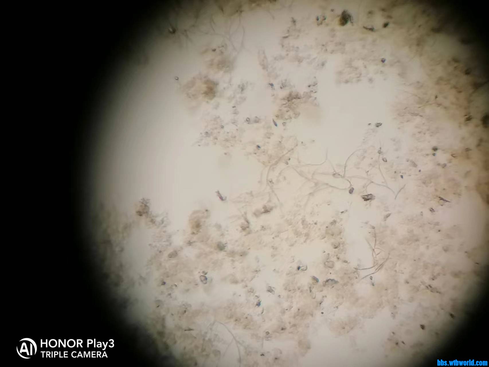 wechat_upload165787998262d13dae2b616