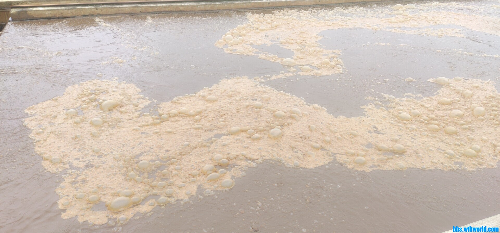 wechat_upload165827867062d7530e42ca8