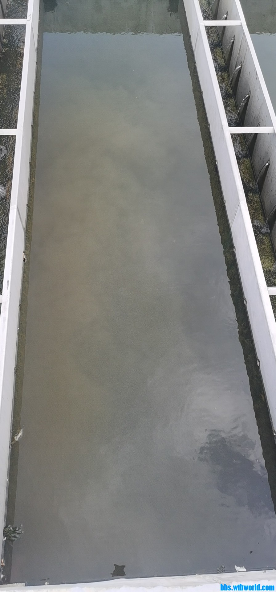 wechat_upload165847446262da4fde49bc9