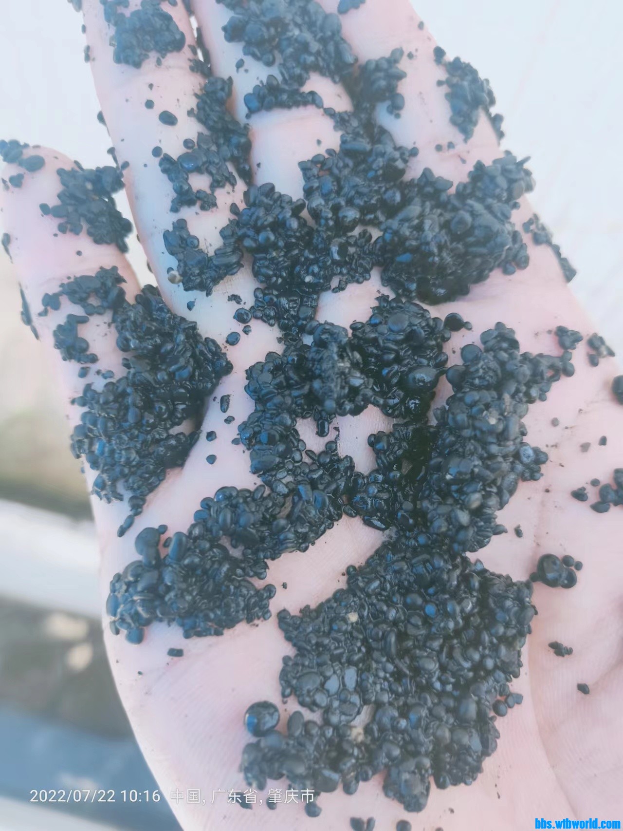 wechat_upload165848054262da679e1567e