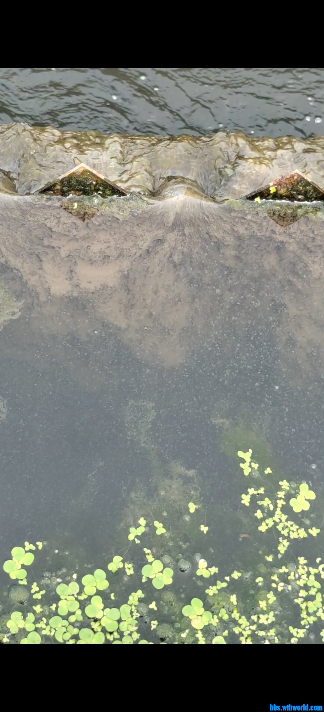 wechat_upload165888171062e086ae3264f