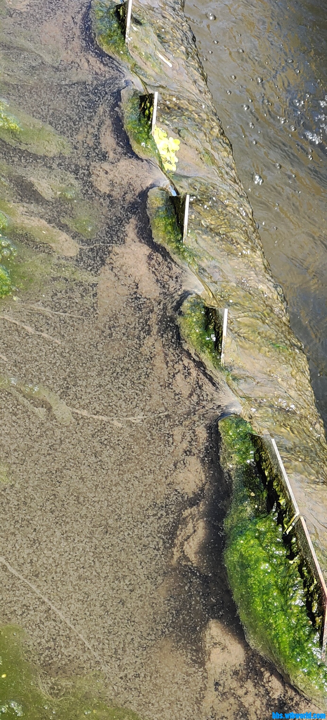 wechat_upload165888171062e086aeea46b