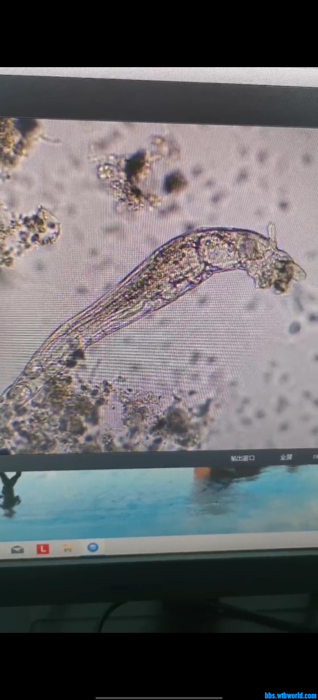 wechat_upload165890353962e0dbf37fe80