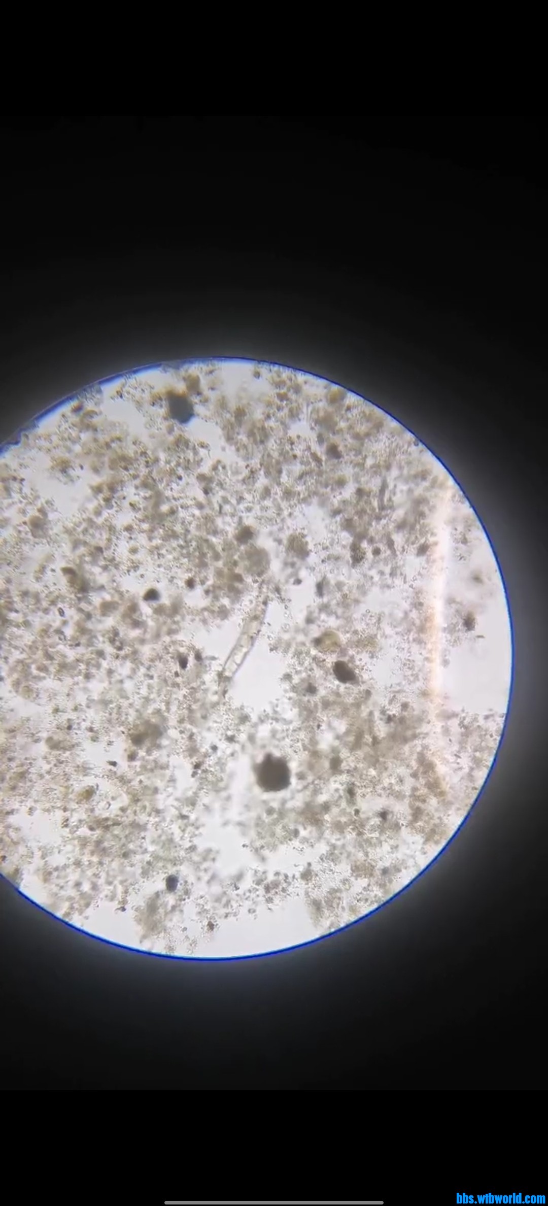 wechat_upload165914915762e49b65e47e7