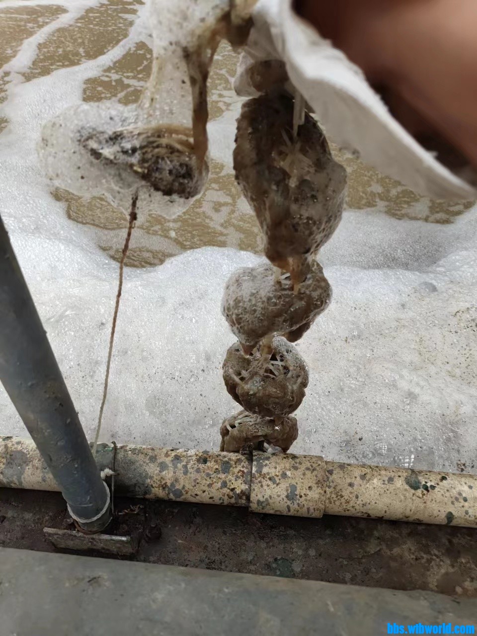 wechat_upload165915164662e4a51e071c7