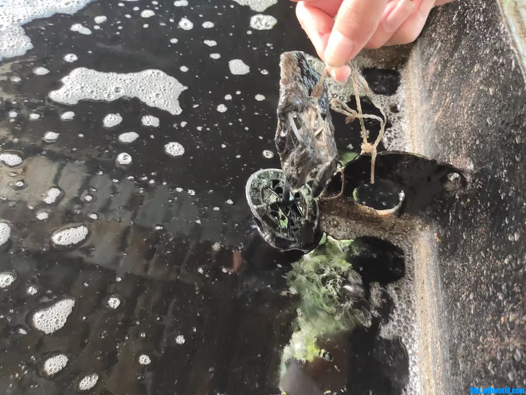 wechat_upload165983215862ef075e1cf76