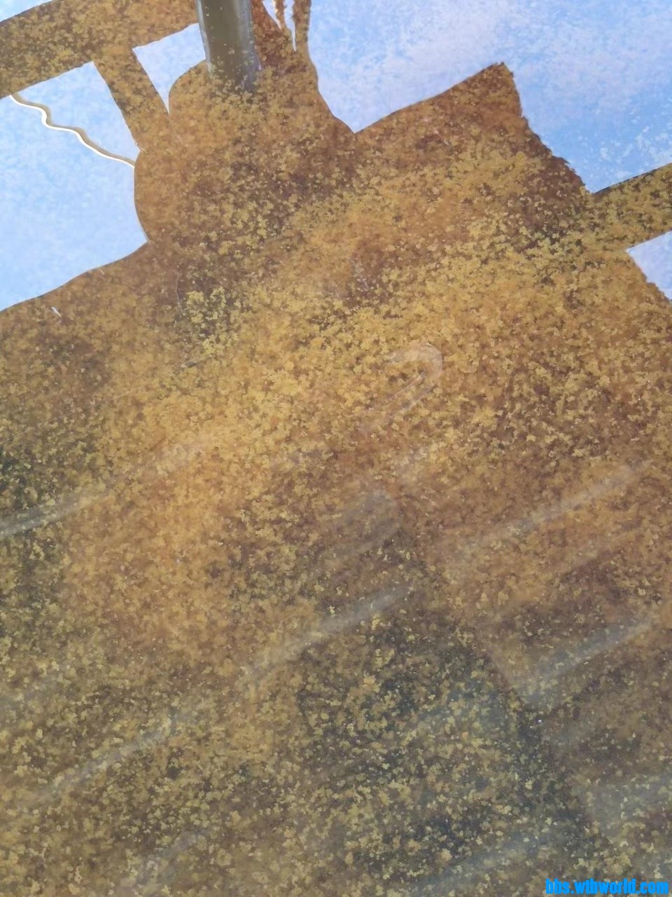 wechat_upload165994157962f0b2cb33617