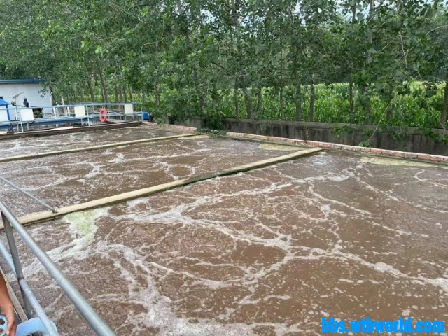 wechat_upload16611284676302cf13a5d8d