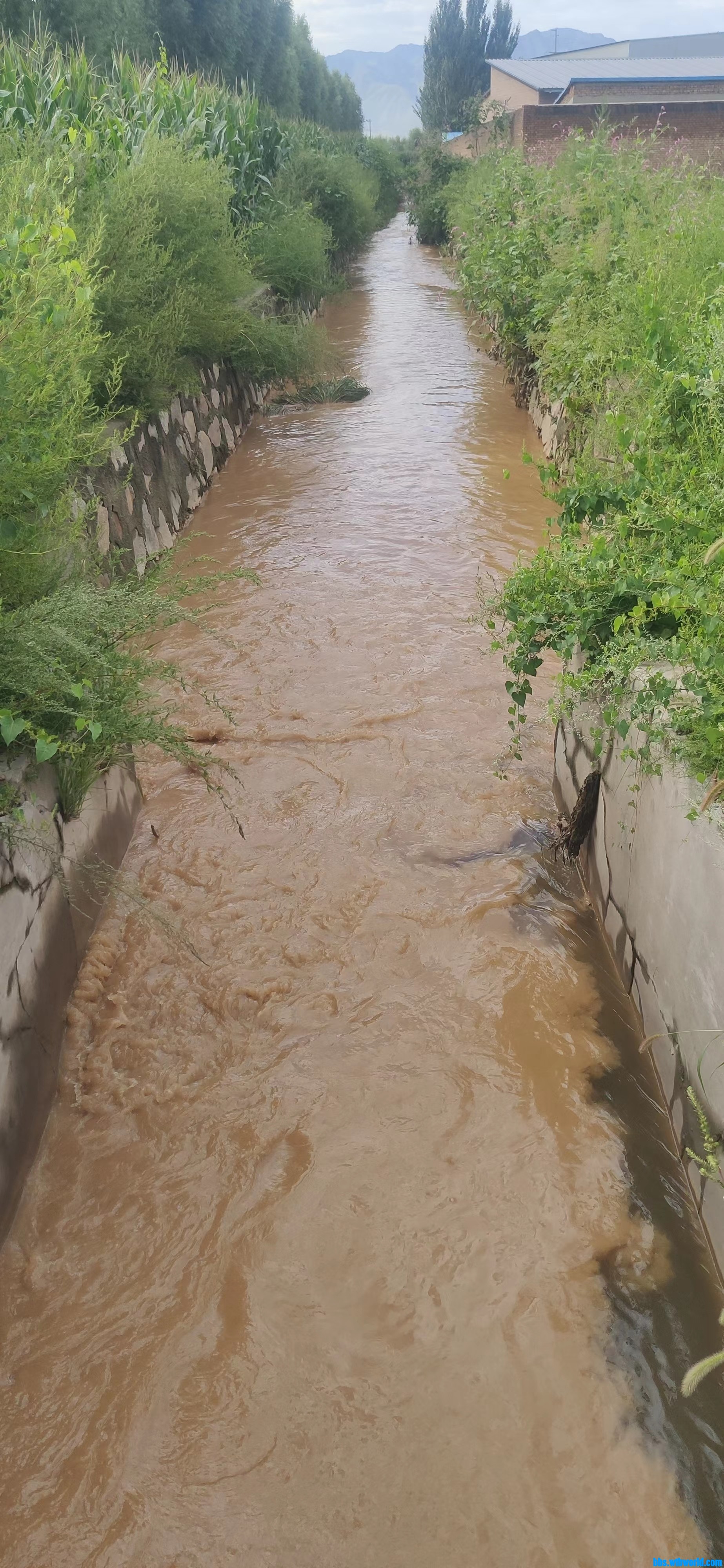 wechat_upload166115054963032555dda10