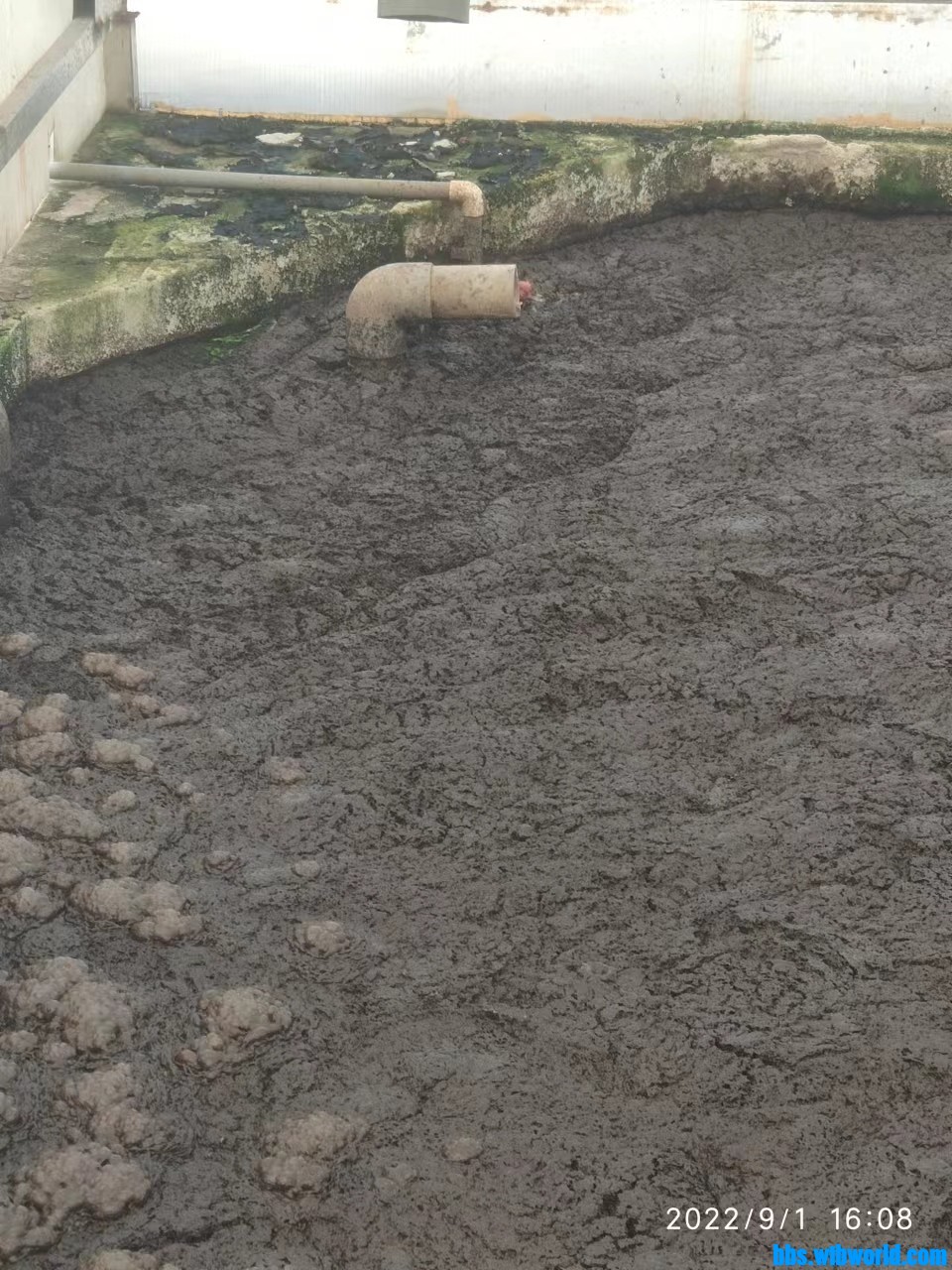 wechat_upload16623809736315ebadc6a1e