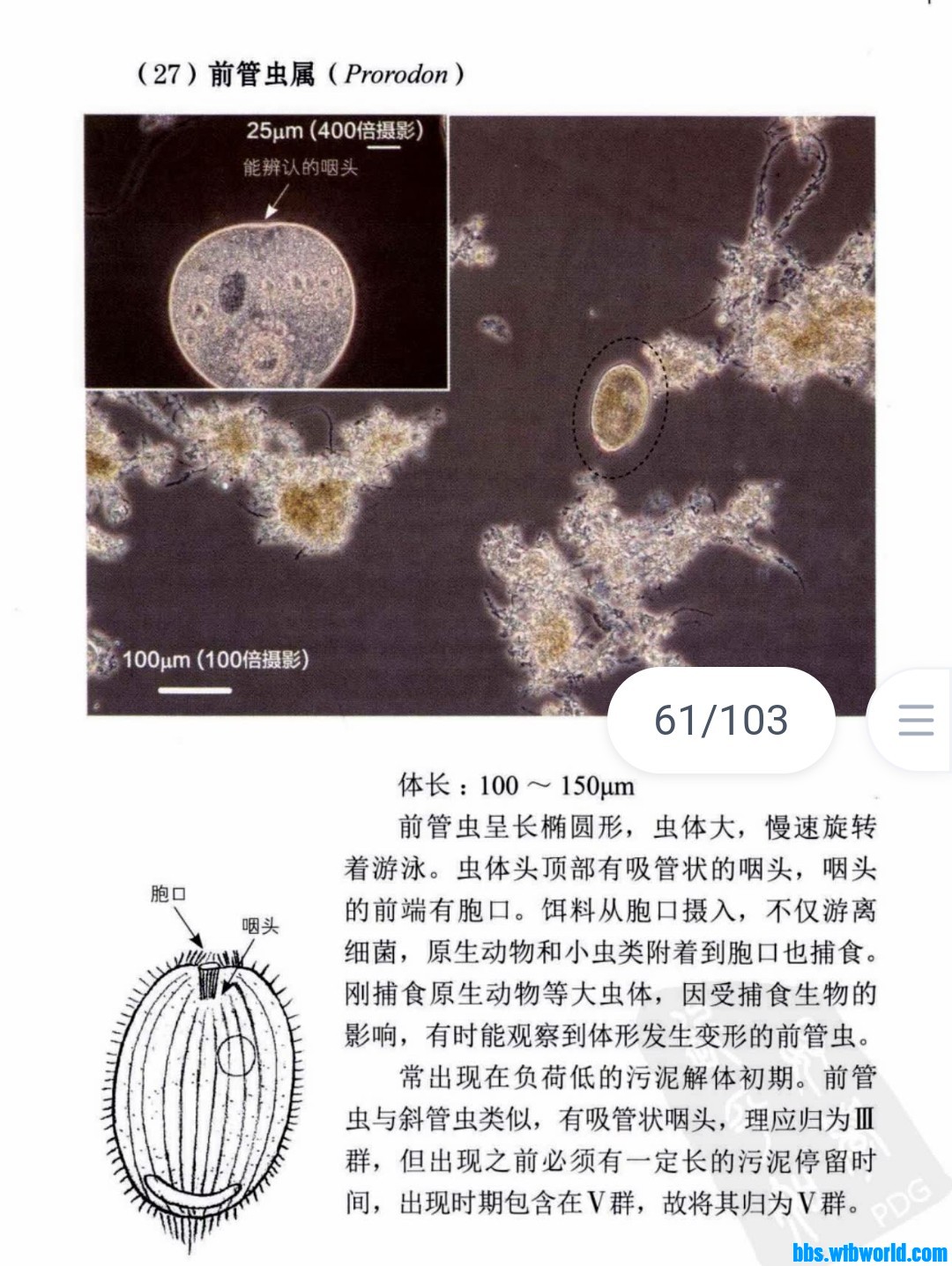 wechat_upload166259824063193c6065ca6