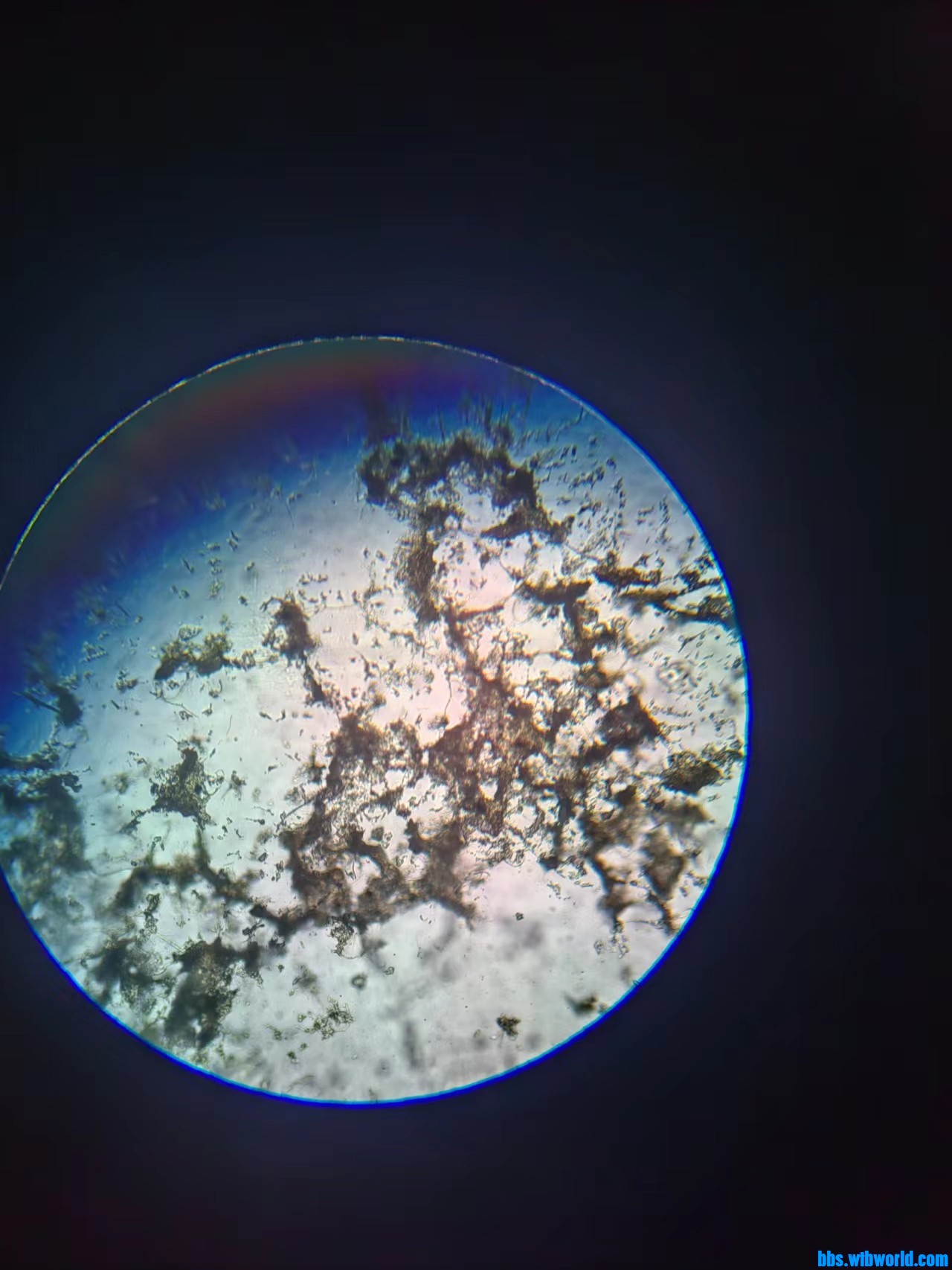 wechat_upload1662682492631a857cbfefa