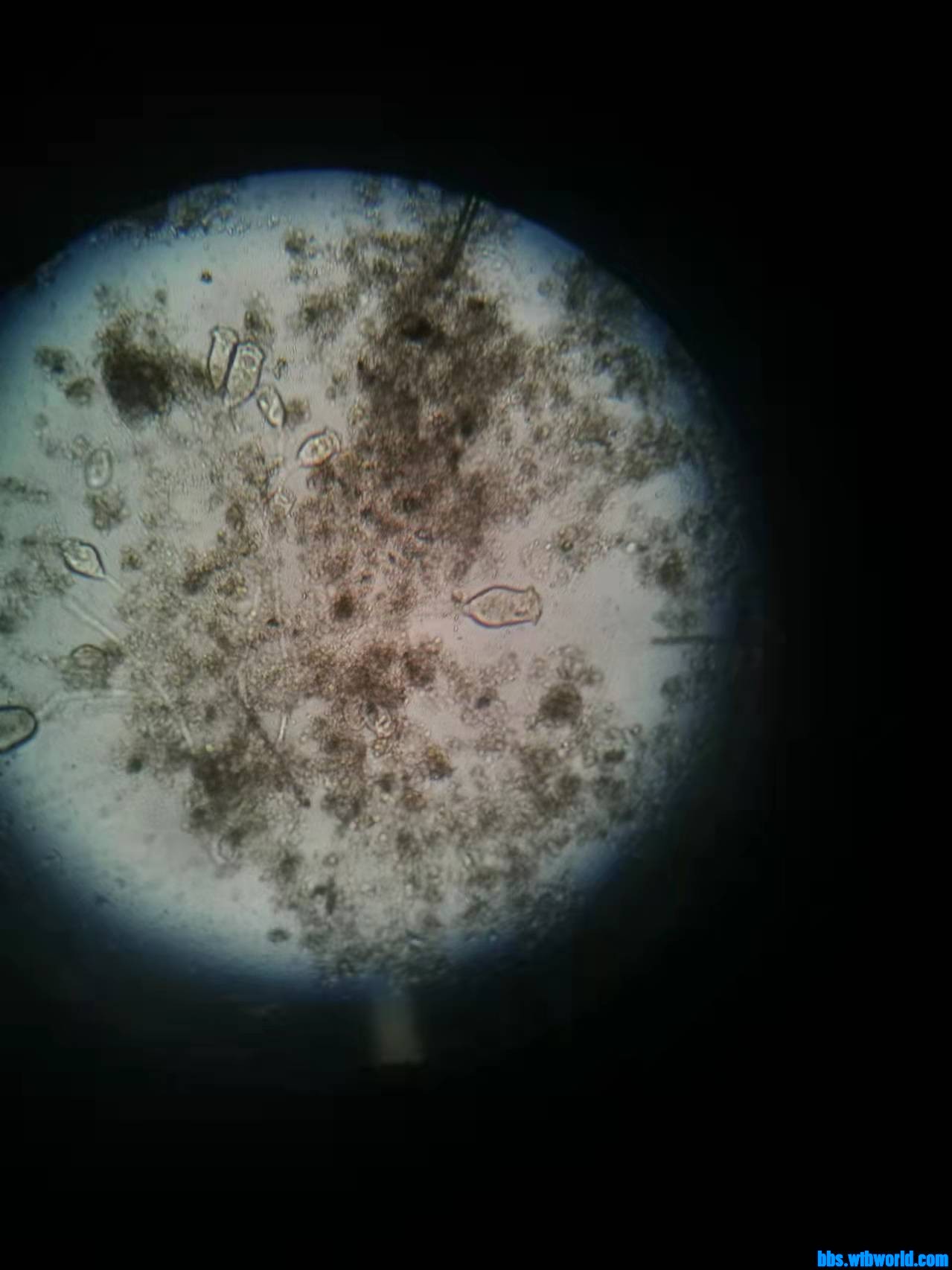 wechat_upload1662682493631a857d9959d