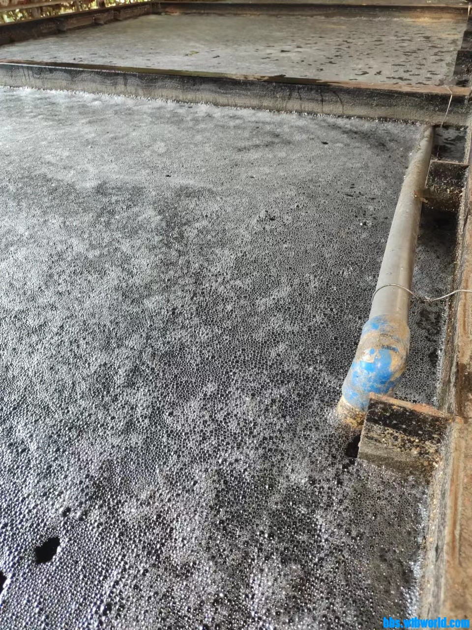 wechat_upload166346250563266c69862e4