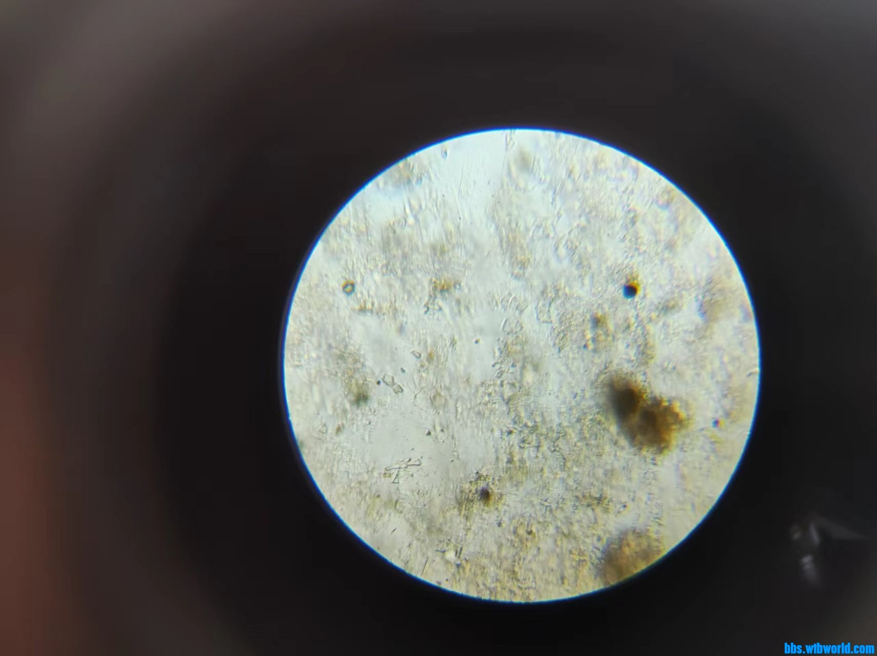 wechat_upload1663860981632c80f5b272a