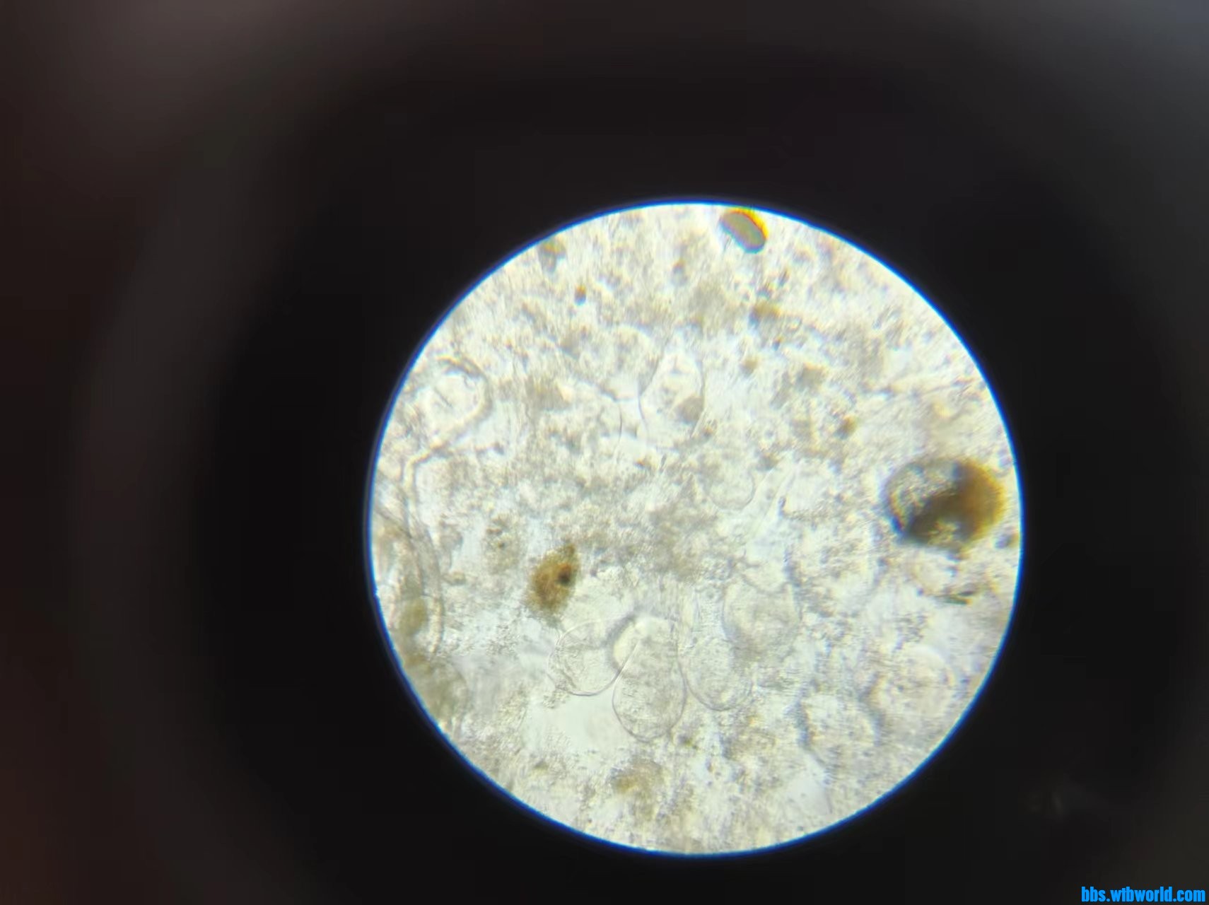 wechat_upload1663860981632c80f55cbbb