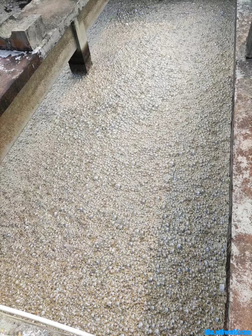 wechat_upload1664006930632ebb12b6867