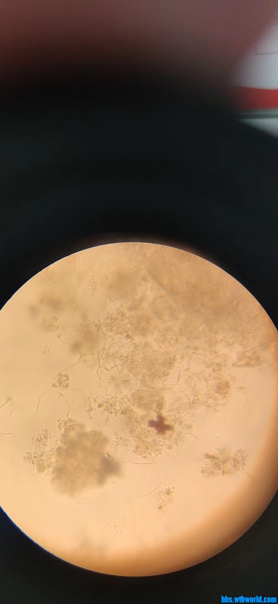 wechat_upload166419123563318b03540ad