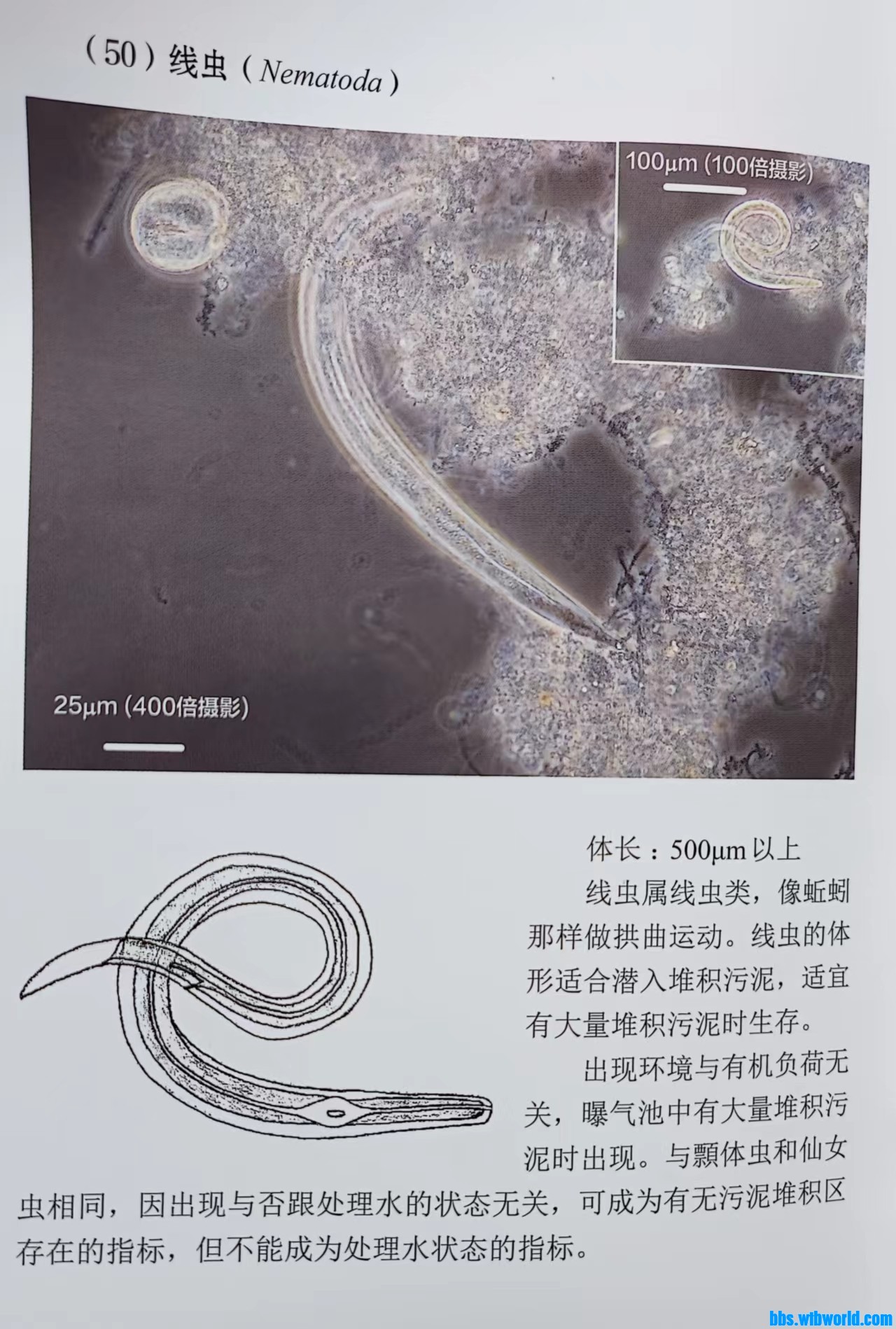 wechat_upload166524032663418d06af863