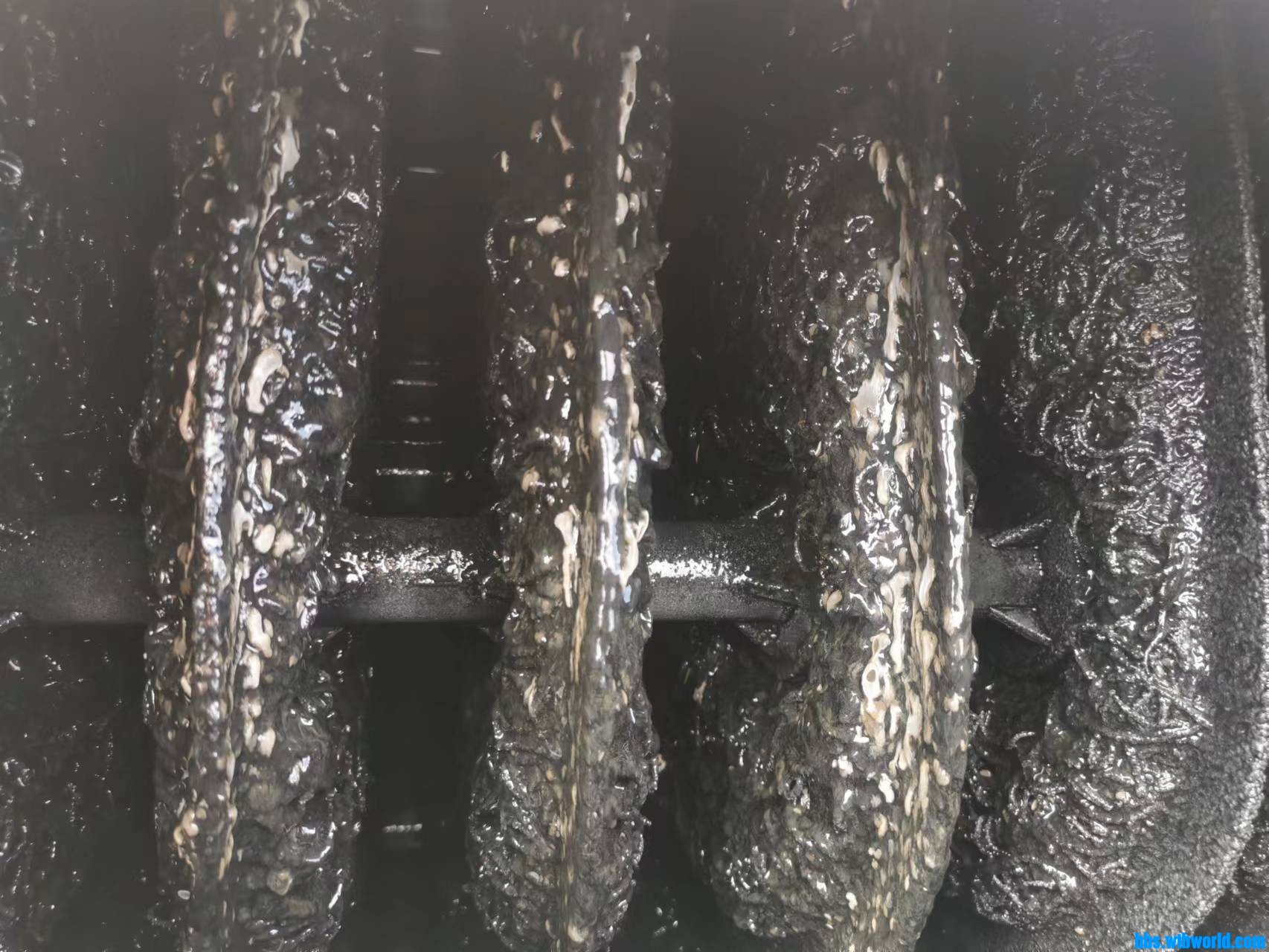 wechat_upload166562476963476ac157eda