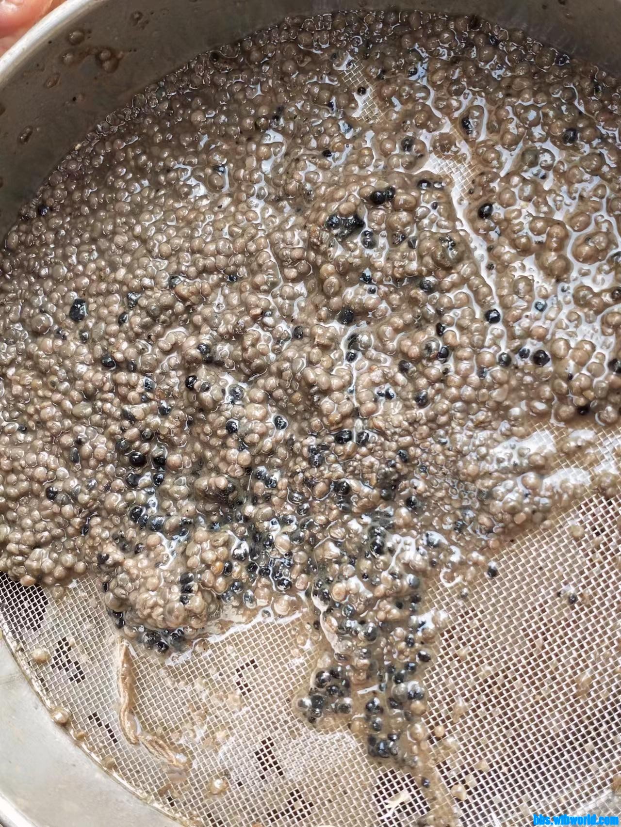 wechat_upload16667069946357ee323fe3e