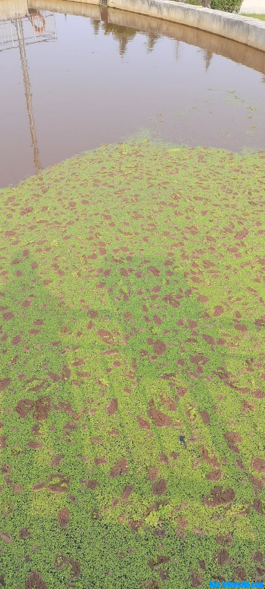 wechat_upload1667789278636871de85af5