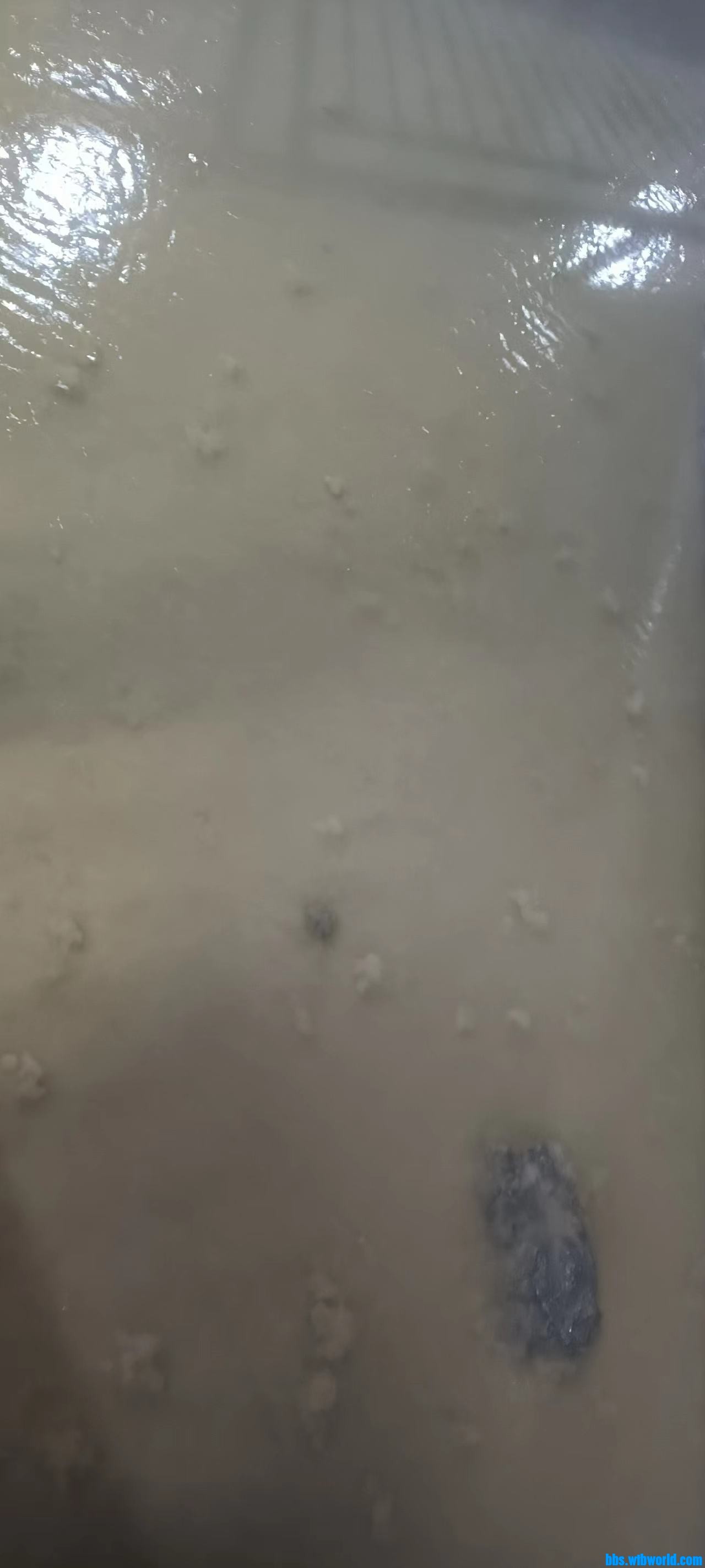 wechat_upload1670109161638bd7e912cf9