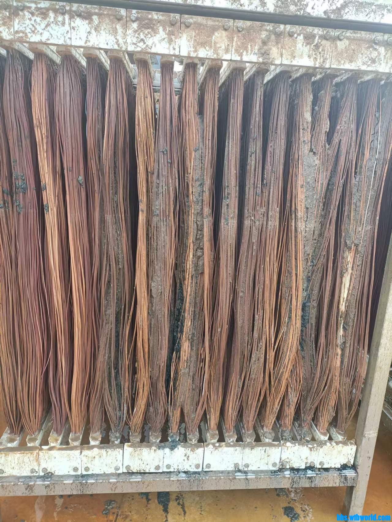 wechat_upload16705121926391fe40c25f5