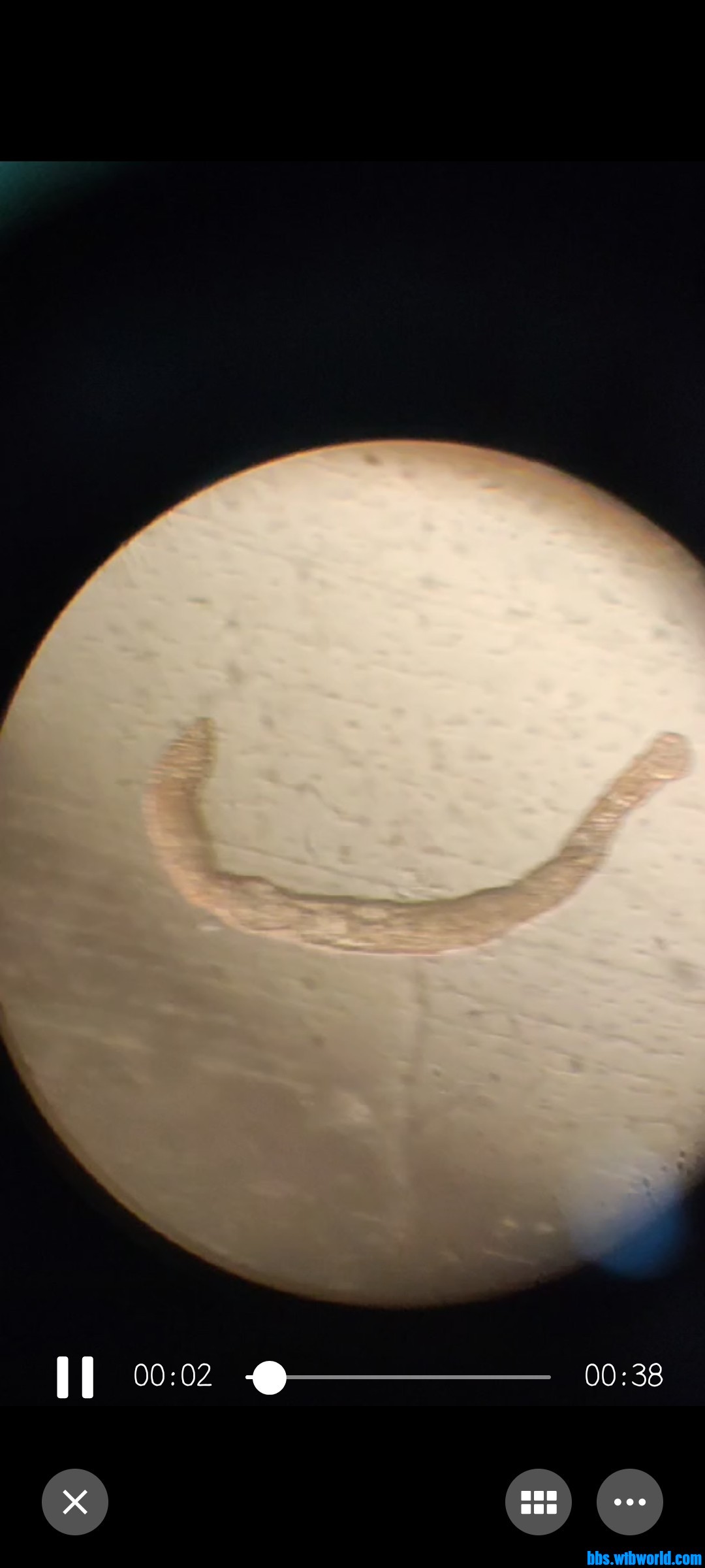 wechat_upload1671178724639c29e498d5f