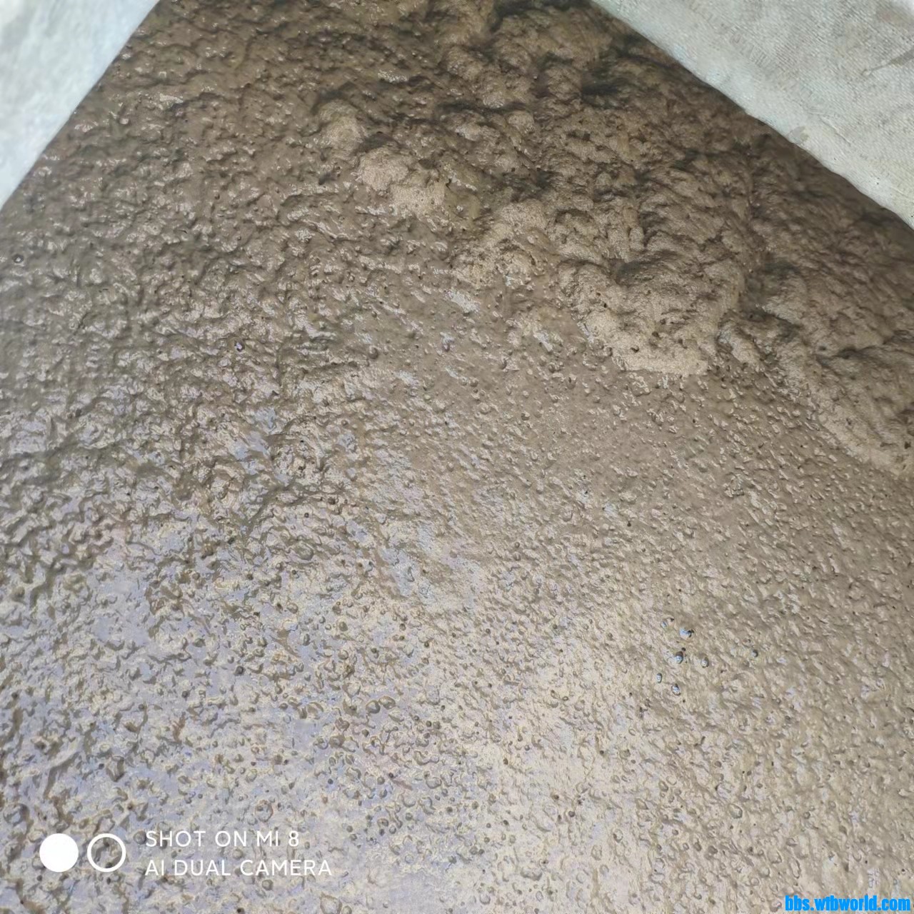 wechat_upload1671426886639ff346e6955