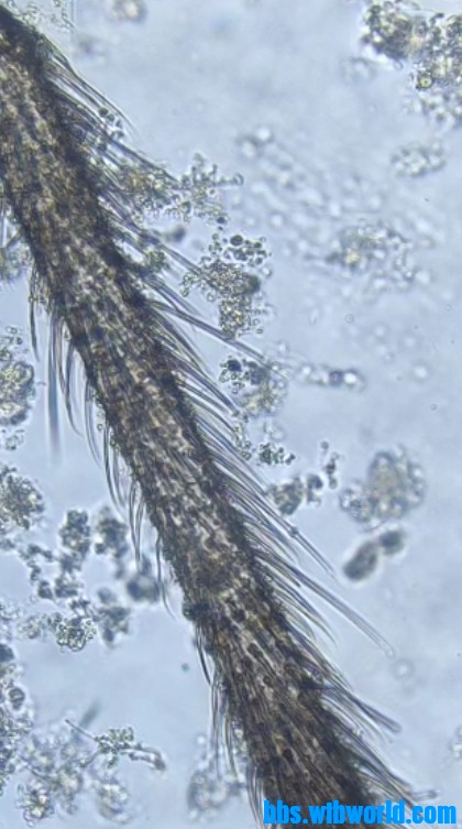 wechat_upload167289872163b668a193cce